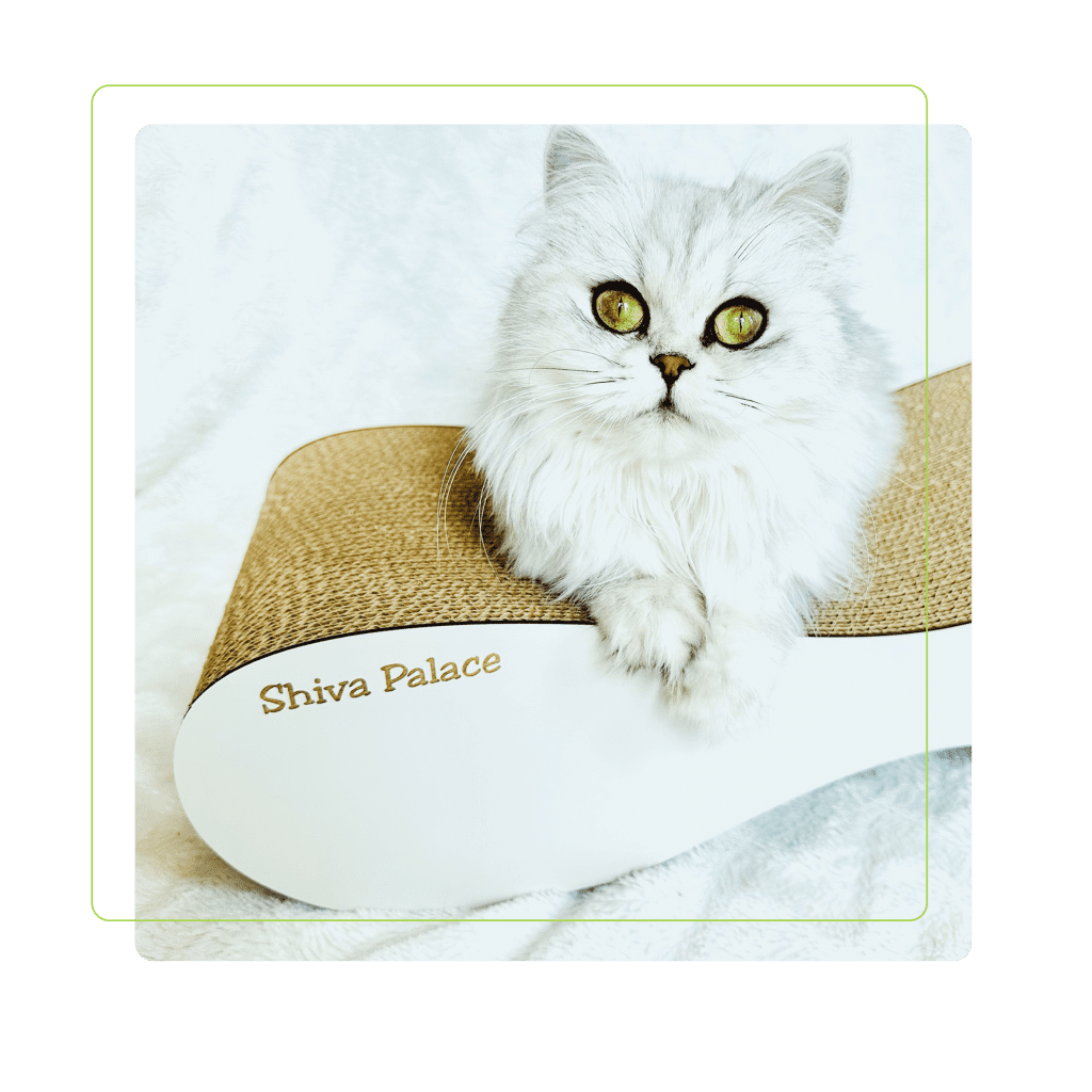 Drapaki Gattino - Dla Hodowli - Drapaki Koty - Koty Drapaki - Drapaki z personalizacją -Koty Gattino - Drapaki dla kotów - Drapaki z logo