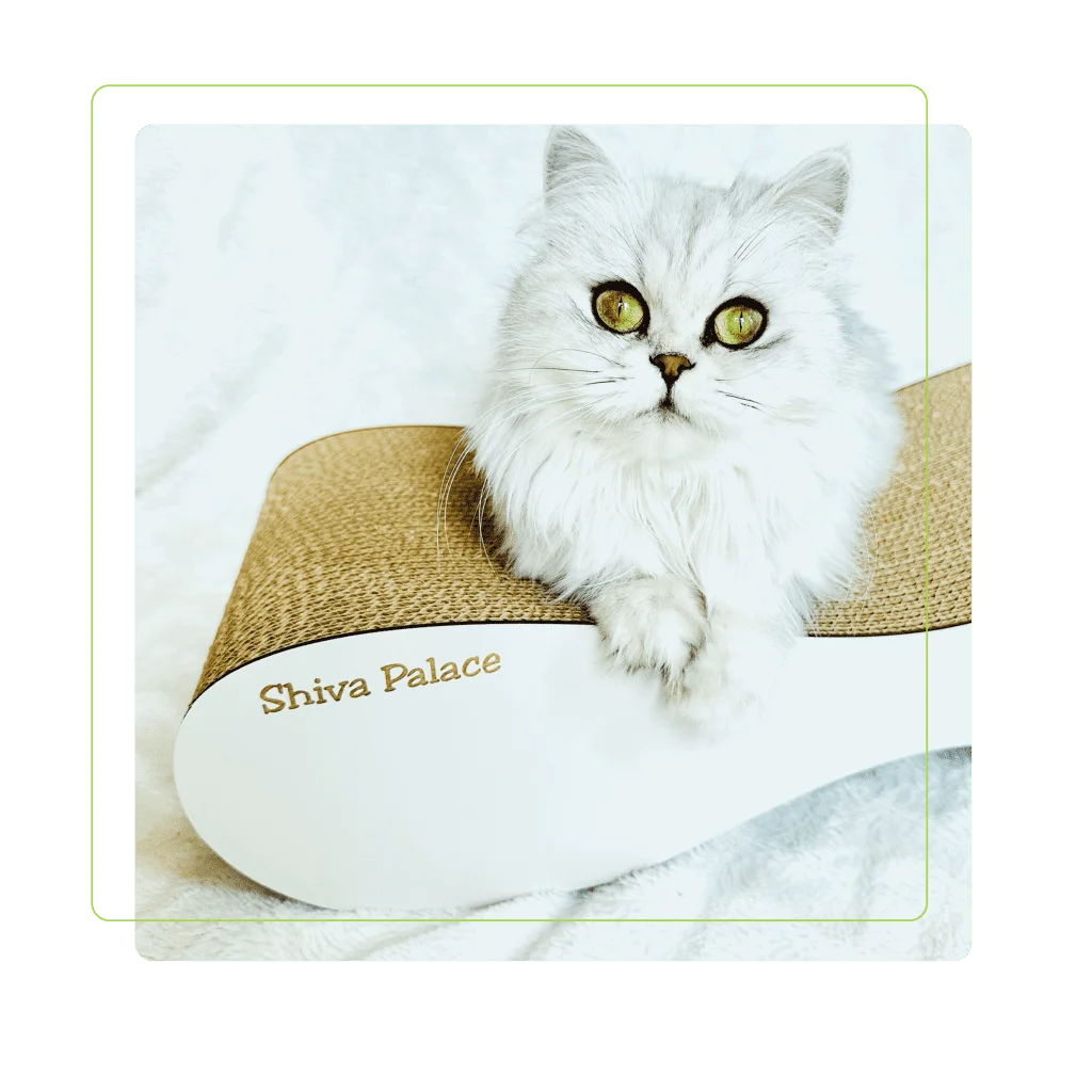 Drapaki Gattino - Dla Hodowli - Drapaki Koty - Koty Drapaki - Drapaki z personalizacją -Koty Gattino - Drapaki dla kotów - Drapaki z logo